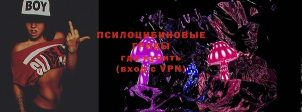 прущий лед Белокуриха