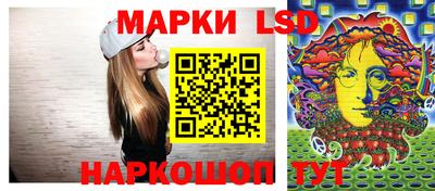 амф Кандалакша