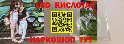 амф Кандалакша