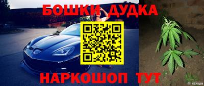 амф Кандалакша