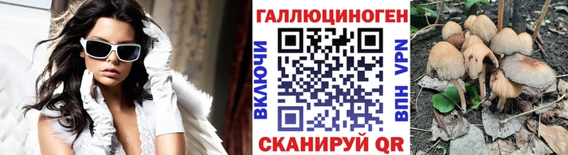 Галлюциногенные грибы Psilocybine cubensis  Бирск 