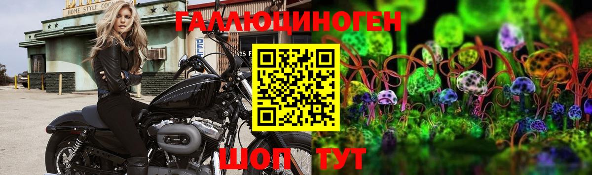 Псилоцибиновые грибы Magic Shrooms  Бирск  Псилоцибиновые грибы ЛСД 